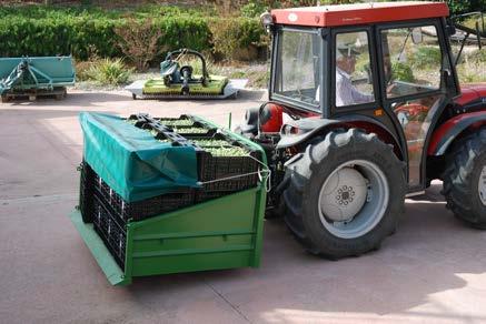 .. Logistik im Olivar Die Oliven in den Pflückkörben werden vorsichtig in Transportkisten umgefüllt, welche dann vom