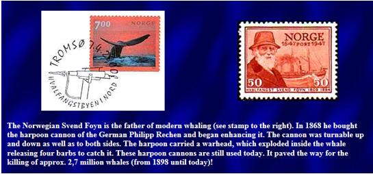 Bowhead Whales in the Eastern Arctic, 1611-1911: Population Reconstruction with Historical Whaling. Environment and history, 12(1), pp.89-11. 5 6 Der Grönlandwal vor der Ostküste Grönlands wurde ca.