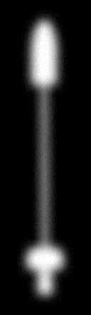 Tuben mit geradem Ausblick Anoskoptubus 60 mm lang, 22 mm Ø, komplett mit Obturator Proktoskoptubus 120 mm lang, 22 mm Ø, komplett