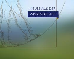 Sehr geehrte Damen und Herren, Straßenverkehr und alkoholische Getränke passen nicht zusammen.