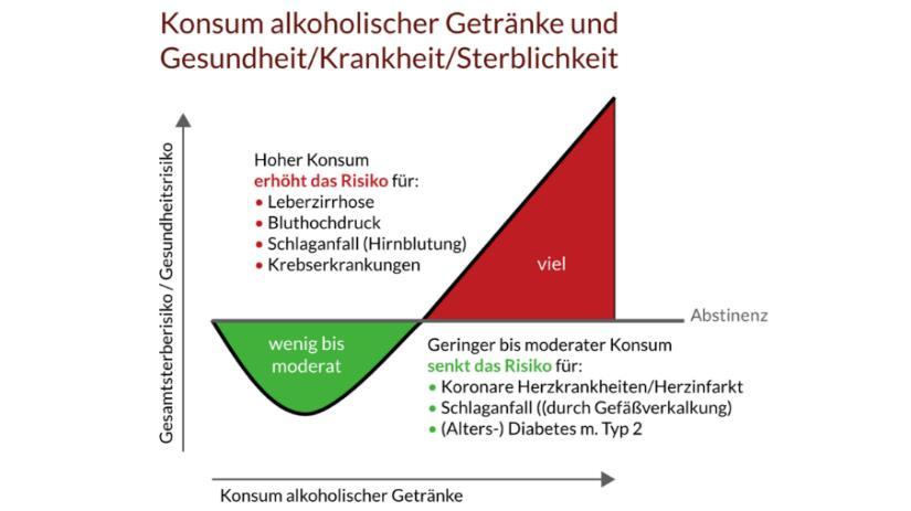 Weinphenole wirken - antioxidativ - neuroprotektiv - entzündungshemmend Weinphenole - normalisieren den Blutzucker - verbessern die Gefäßendothelfunktion - hemmen die Blutplättchenaggregation Wie