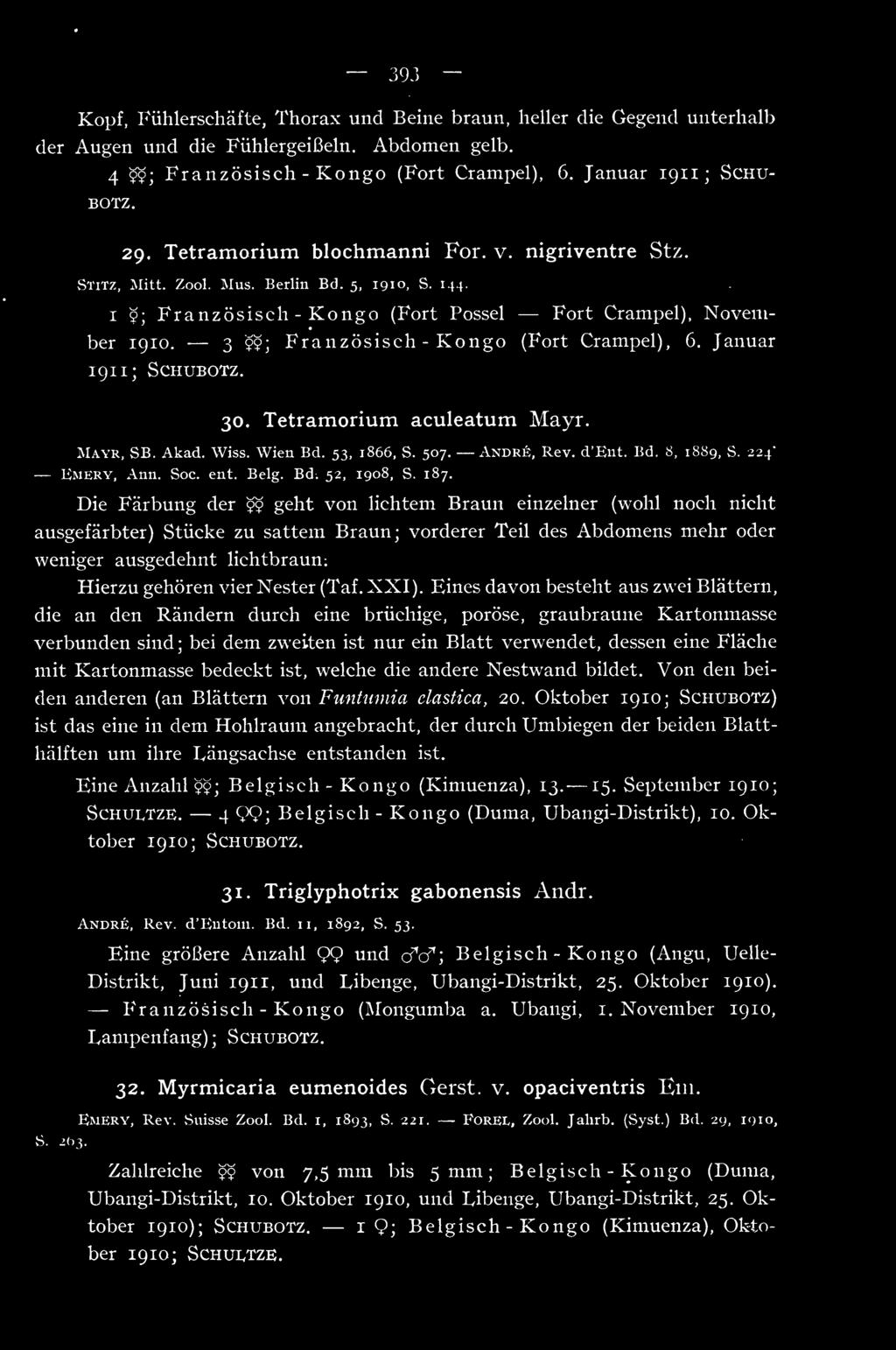 3 99; Französisch - Kongo (Fort Crampel), 6. Januar 191 1; SCHUBOTZ. 30. Tetramorium aculeatum Mayr. Mayr, SB. Akad. Wiss. Wien Bd. 53, 1866, S. 507. Andrä, Rev. d'ent. Bd. 8, 1889, S.