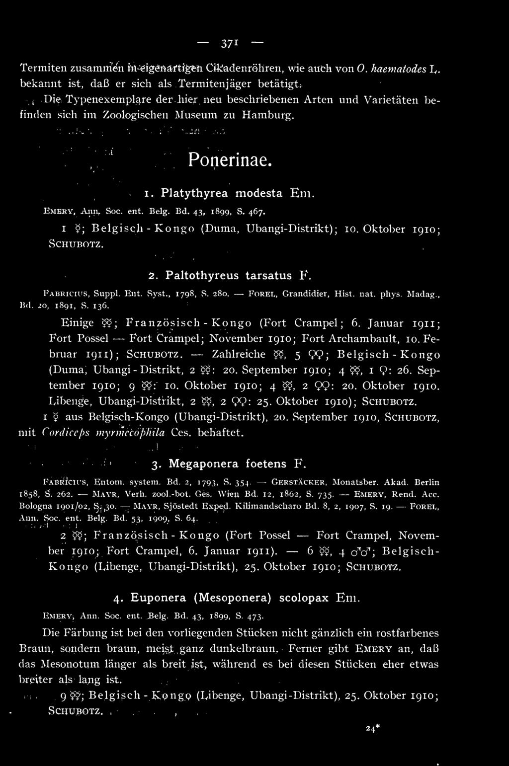 467. 1 9; Belgisch - Kongo (Duma, Ubangi-Distrikt) ; 10. Oktober 1910; vschubotz. 2. Paltothyreus tarsatus F. Fabricius, Suppl. Ent. vsyst., 1798, vs. 280. Forei., Grandidier, Hist. nat. phys. Madag.