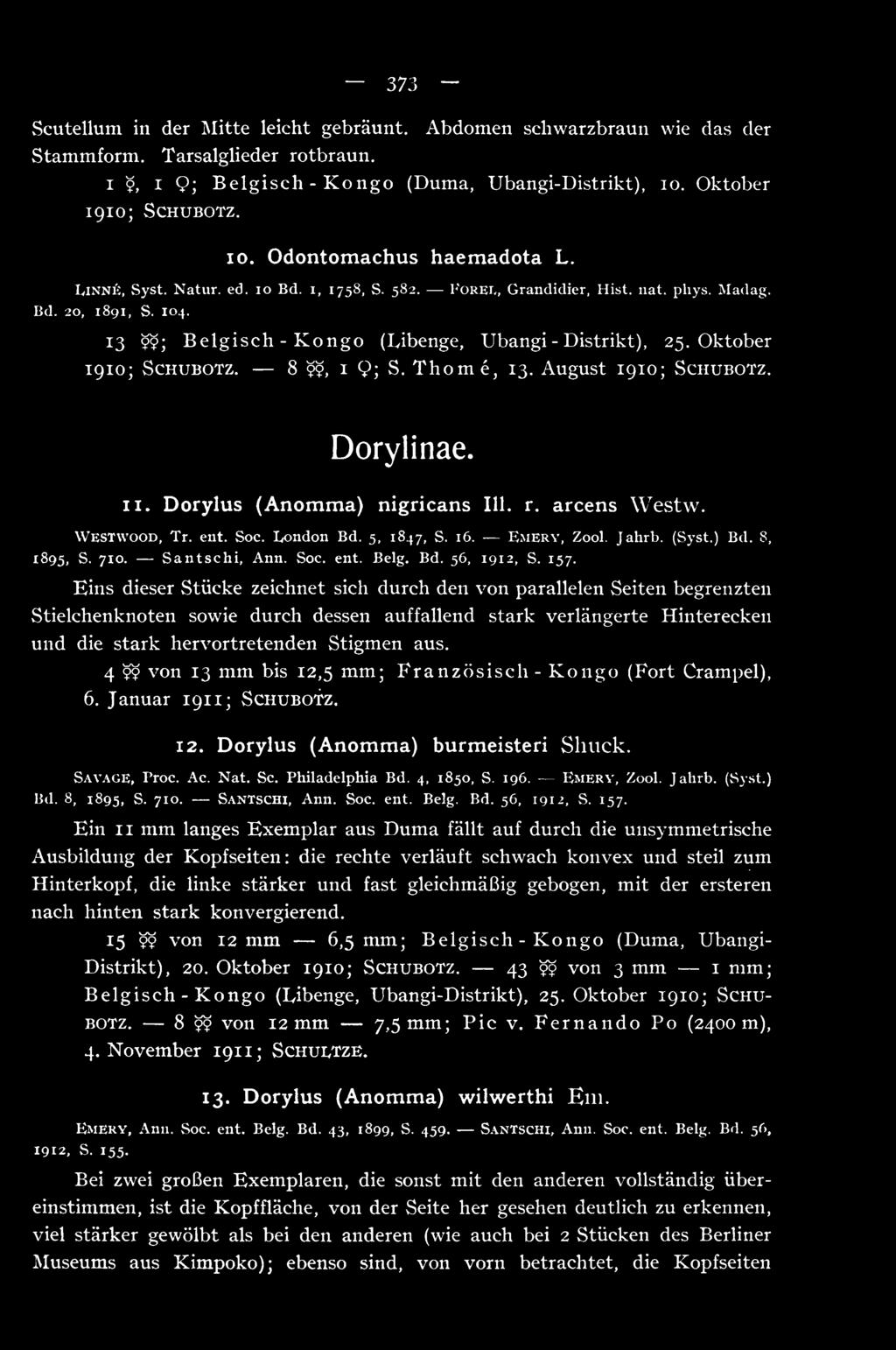Oktober 1910; ScHUBOTZ. 8 99, I 9; S. Thome, 13. August 1910; Schubotz. Dorylinae. II. Dorylus (Anomma) nigricans 111. r. arcens Westw. Westwood, Tr. ent. Soc. London Bd. 5, 1847, S. 16. Emery. Zool.