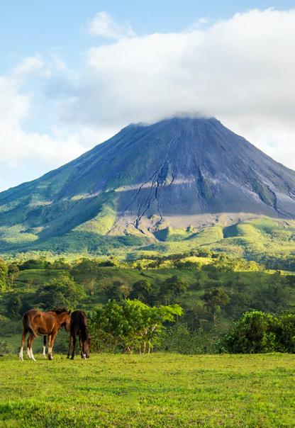 Auf halbem Weg verharren wir, da sich hier ein fantastischer Aussichtspunkt mit Panoramablick auf das Städtchen La Fortuna bietet, welches uns hier zu Füßen liegt.