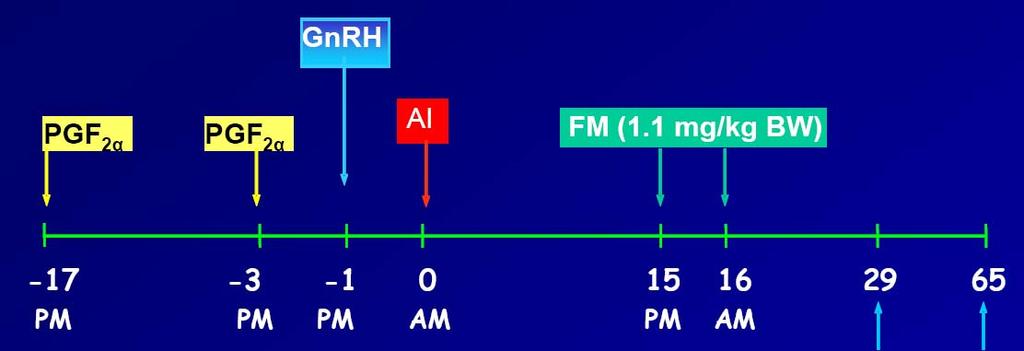 Einfluss von Flunixin Meglumin (FM) auf die