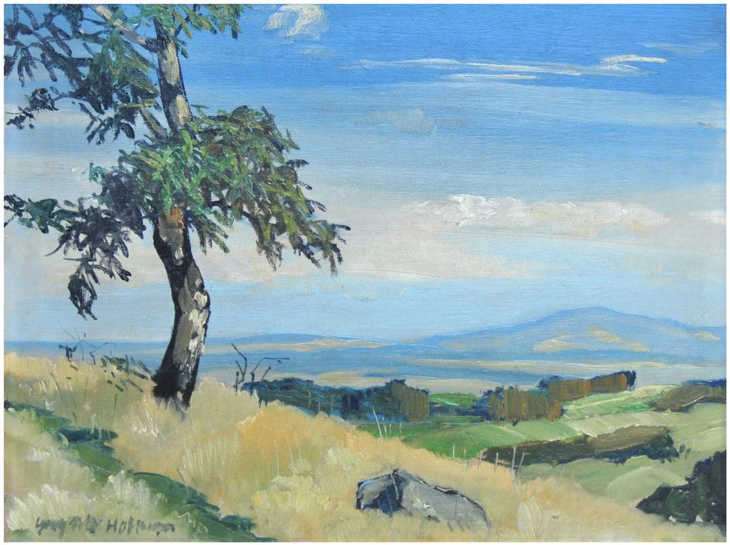 13. Georg Max Hofmann (1891 Hof 1955) Weite Landschaft (Fichtelgebirge) Öl a./lwd., 35 x 45,5 cm. Links unten signiert und datiert (19)22. Rahmen aus der Zeit.