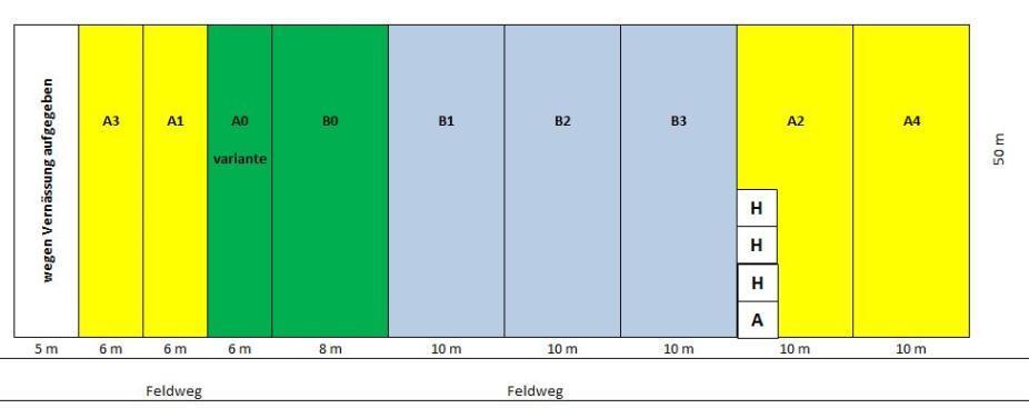 Behandlungsvarianten Varianten A0 bis A4: ohne Herbizideinsatz Varianten B0 bis B4: mit