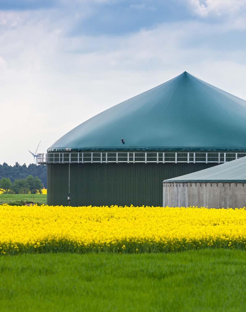 Effizienzsteigerung von Biogasanlagen mittels katalytischer Methangasreaktoren Dr. rer.