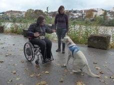 aufregend mit dem Pferdeanhänger und vollem Auto. Es ging aber nicht direkt in mein neues Zuhause, sondern erst einmal eine Woche nach München zu Nora s Familie.