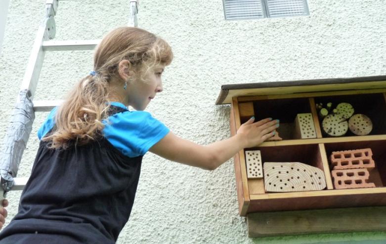 Fledermauskästen anfertigen und ein Wildbienenhaus bauen. Zudem rund ums Haus die Bepflanzung reduzieren, dafür Sand auffüllen und Bollensteine legen.