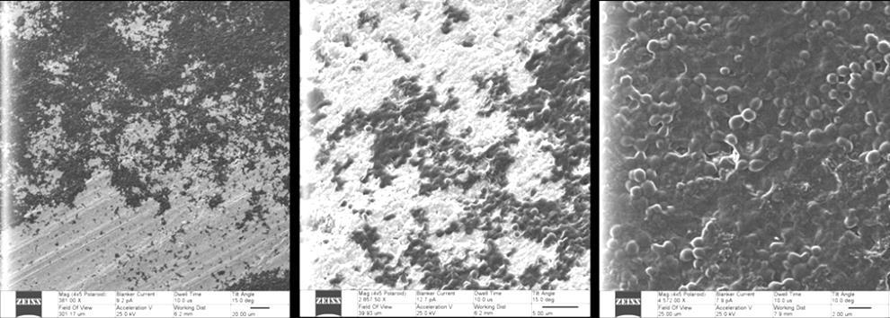 Abbildung 61 zeigt deutlich, dass die Scheiben eine wesentlich rauere Oberfläche als Polystyrol besitzen. Es sind Furchen und Höhlen zu sehen.