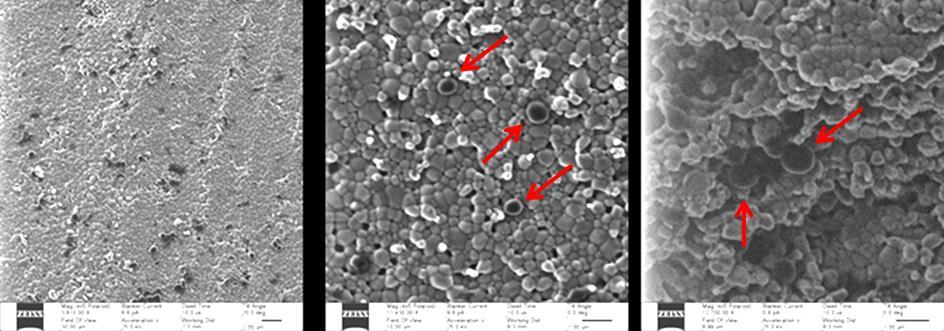 Elektronenmikroskopische Untersuchung der Biofilme auf zwei unterschiedlichen Oberflächen Nach der Behandlung mit GS (Abbildung 63) befinden sich bei S.