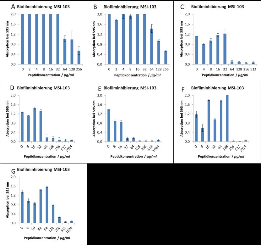 D Antimikrobielle Peptide Abbildung 96 Auswertung der biofilmhemmenden Konzentration (MBHK) für PGLa/Mag2 (1:1)und S. aureus (A), E. faecalis (B), MRSA 9 (C), MRSA SCV (D), MRSA BP (E), E.