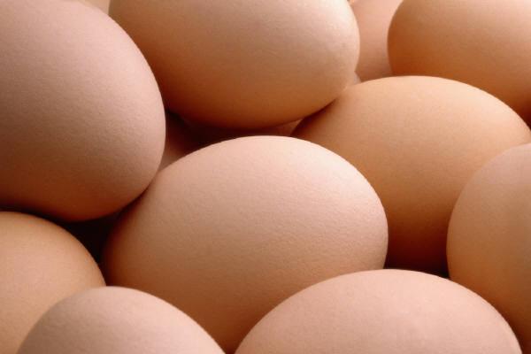Wenn diese Zahl zwischen 75 und 100 liegt, dann kann man die innere Qualität bzw. Frische eines Eies als gut bis ausgezeichnet betrachten.