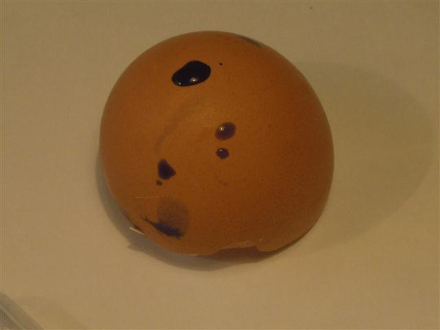 Geht Tinte durch die Eierschale? Im vorherigen Versuch konnten wir nun feststellen, dass Wasser durch die Eierschale entweichen kann.