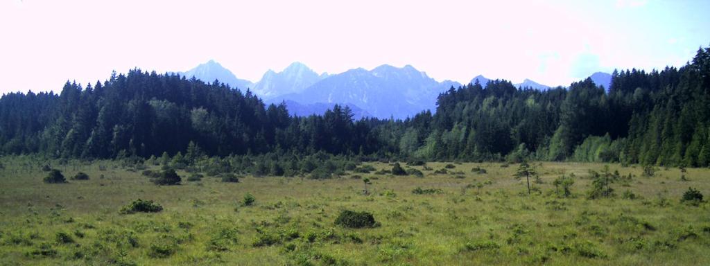 da eine sinnvolle Nutzung und einfachere