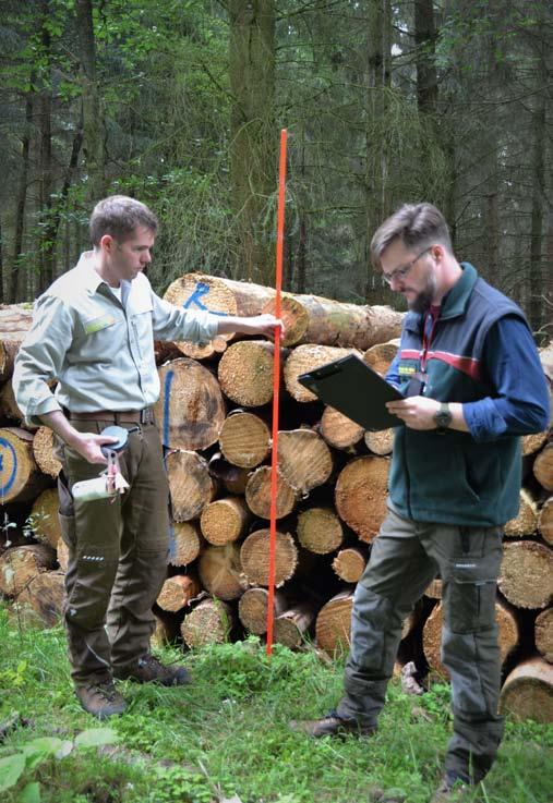 Das Regionalforstamt Soest-Sauerland bildet aus Künftige Experten für den Wald Der Landesbetrieb Wald und Holz Nordrhein-Westfalen übernimmt landesweit zahlreiche Aufgaben im Rahmen der Betreuung der