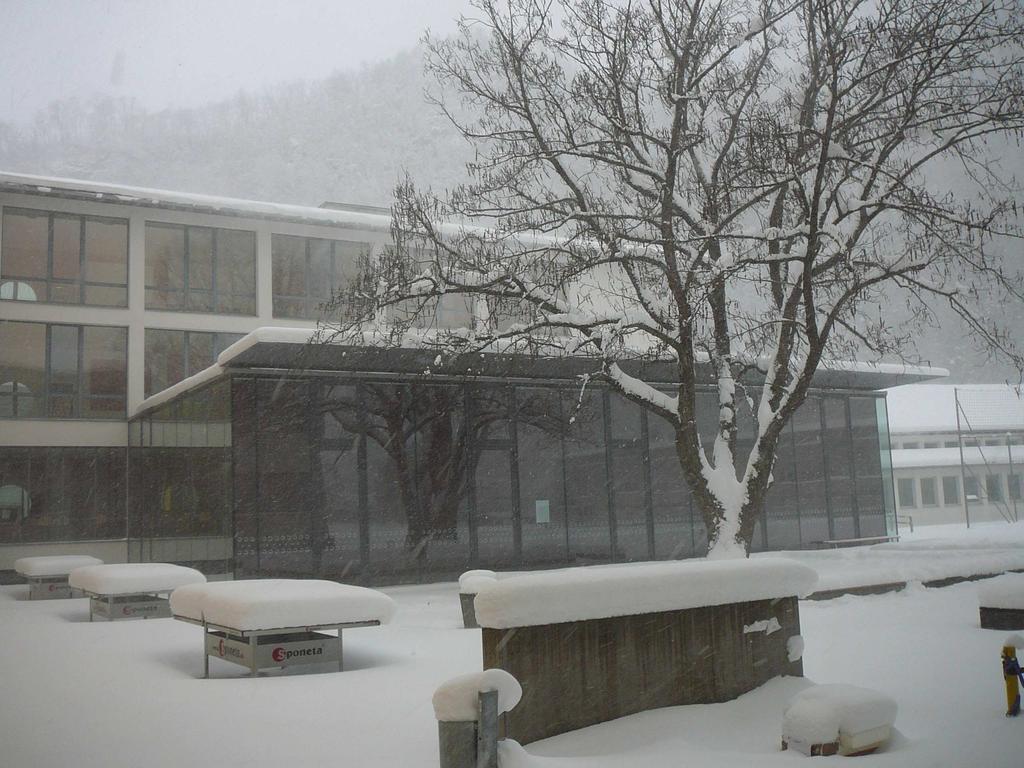 Abb. 2: Innenhof der Schule bei Graupelschauern. Rechts die Styroporbox mit den Sensoren (diese wurde natürlich vom Schnee befreit ). Foto vom 17.01.