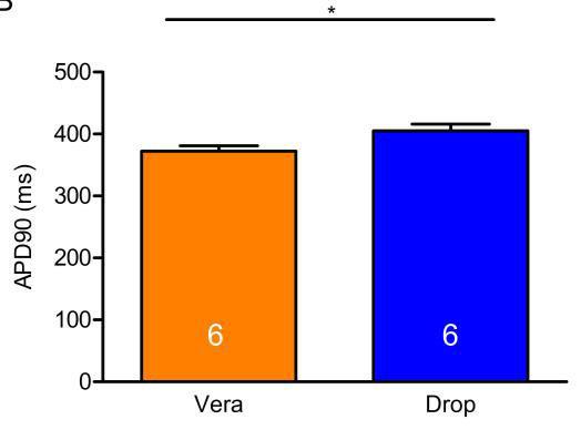ERGEBNI SSE 3.1.3.3. Droperidol im LQTS3-Modell Um die Wirkung von Droperidol im LQTS3-Modell zu analysieren, wurde nach der pharmakologischen Induktion des LQTS3-Modells Droperidol appliziert.