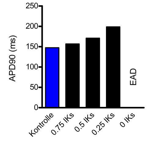 ERGEBNI SSE 3.2.1. Simulation von LQTS1- und LQTS2-Myozyten Das LQTS1 ist durch einen reduzierten Anteil von I Ks charakterisiert, das LQTS2 durch einen reduzierten Anteil von I Kr.