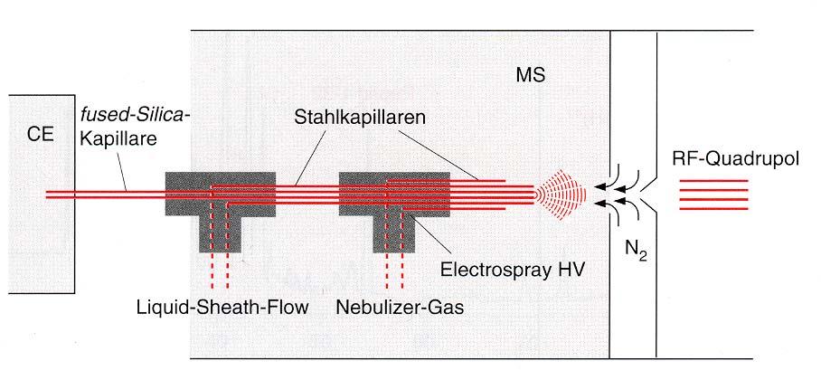 Detektionsmethoden Massenspektrometrie-Detektor Empfindlichkeit: 10-17 - 10-8 mol