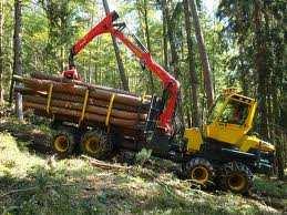 Zusammenarbeit Forstwirtschaft / Naturschutz Sie nehmen Kontakt mit dem