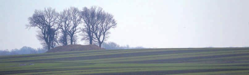 Die Düngeverordnung stellt das nationale Aktionsprogramm in Deutschland zur Umsetzung der Vorgaben der EG-Nitratrichtlinie von 1991 dar. Die derzeit noch geltende Fassung vom 27.
