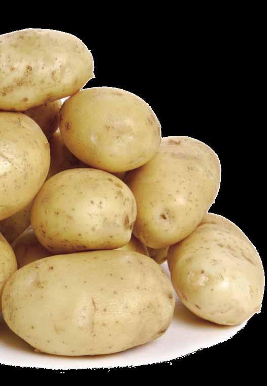 Sichere Bekämpfung von Kartoffelkäfern mit Alverde Sichere Bekämpfung von Ungräsern mit dem Focus Aktiv-Pack Mit Sicherheit das Letzte was er sieht Alverde Vorteile auf einen Blick: < Aktives