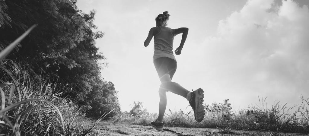 NATURAL RUNNING GESUNDES LAUFEN ÜBERSICHT DER ANGEBOTE Bei gesunden Laufen wird die Belastung