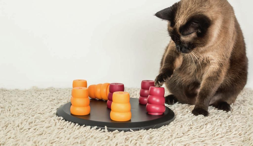 Zuhause-Aktivitäten FOR CATS & DOGS Die spannenden Intelligenz-Spielzeuge von MORE FOR für geistige Beschäftigung in jeder