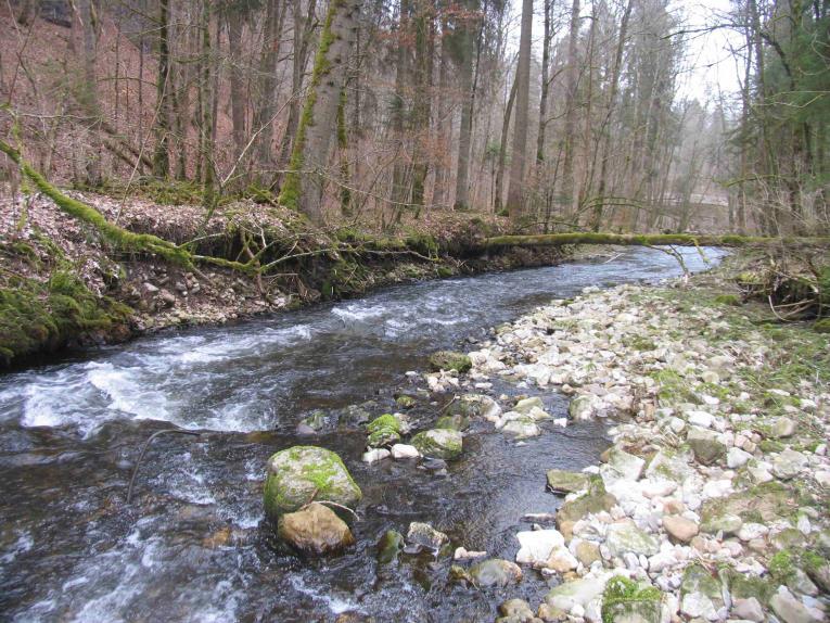 2 Fließgewässertypologie Mit der Forderung der WRRL nach einer leitbildorientierten, gewässertypspezifischen Fließgewässerbewertung ist die Notwendigkeit einer Zuordnung der Fließgewässer zu