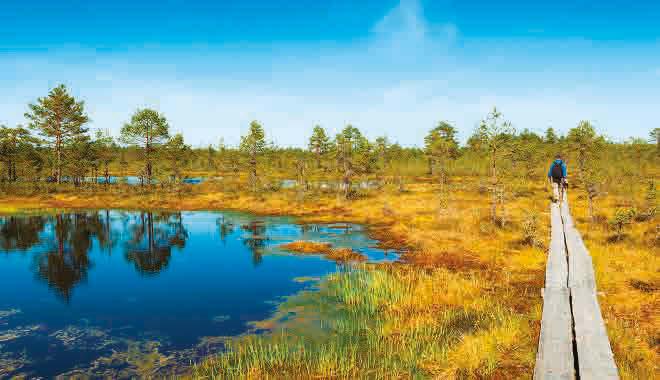 14 REISEPLANUNG Estlands, lettlands & Litauens Top 17 Nationalpark Lahemaa Lahemaa (S.