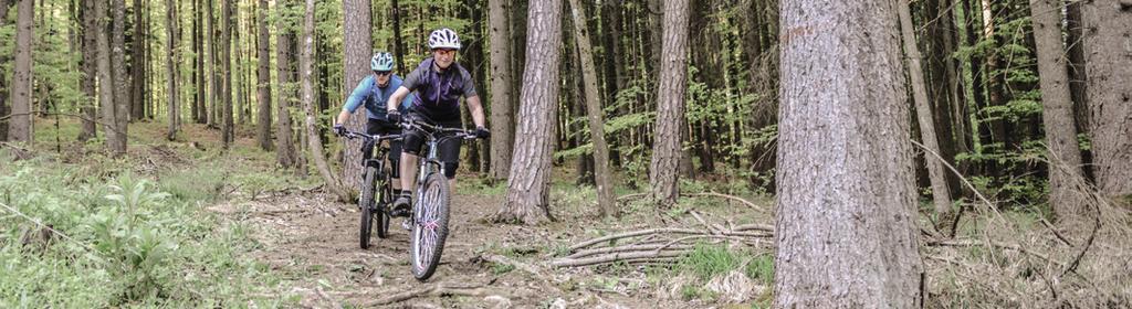 Weil die Natur zum Mountainbikesport gehört wie die Räder ans Bike, ist es uns ein grosses wie selbstverständliches Anliegen, die Natur zu schützen und zu erhalten.