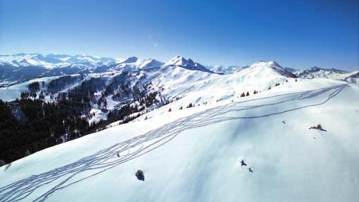 Freizeitangebot Winter Skifahren und