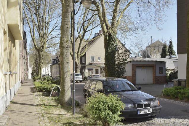 Zwei typische Bilder: Anfang der 1970er-Jahre stand ein Bäumchen am Straßenrand; heute ein Baum (Abbildungen 3.19 und 3.20). Ein junger Baum hatte nur wenig offenes Erdreich um sich herum.
