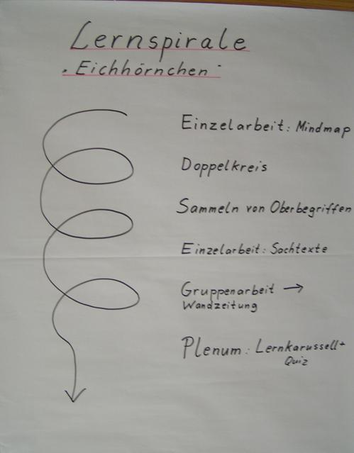 Abbildung 1: Lernspirale