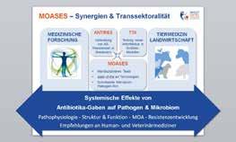 Test neuer Substanzen mit Hochleistungstechnologien Das Verbundprojekt MOASES Ein weiteres Forschungsprojekt im Rahmen von InfectControl 2020 mit Greifswalder Beteiligung ist MOASES
