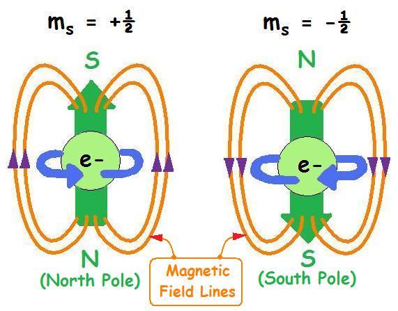 Drehbewegungen in Molekülen und Atomen Elektronen und viele Atomkerne haben einen besonderen Drehimpuls - den Spin Grundlage für ESR, NMR, MR-Bildgebung http://chemwiki.ucdavis.