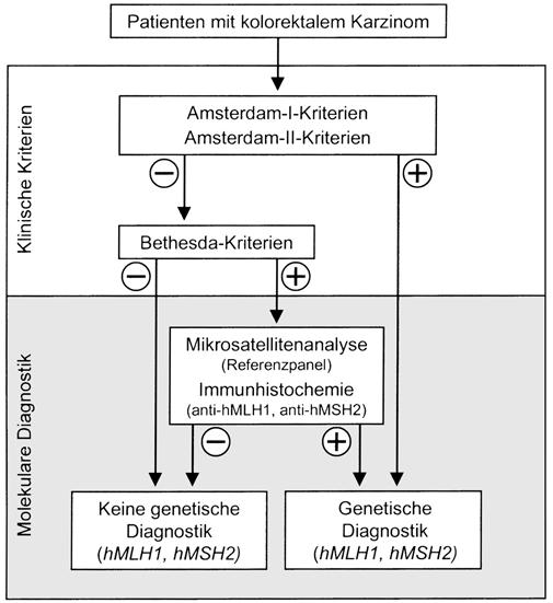 Abbildung: Diagnosealgorithmus für HNPCC [Entnommen aus Raedle al 2001] 3.