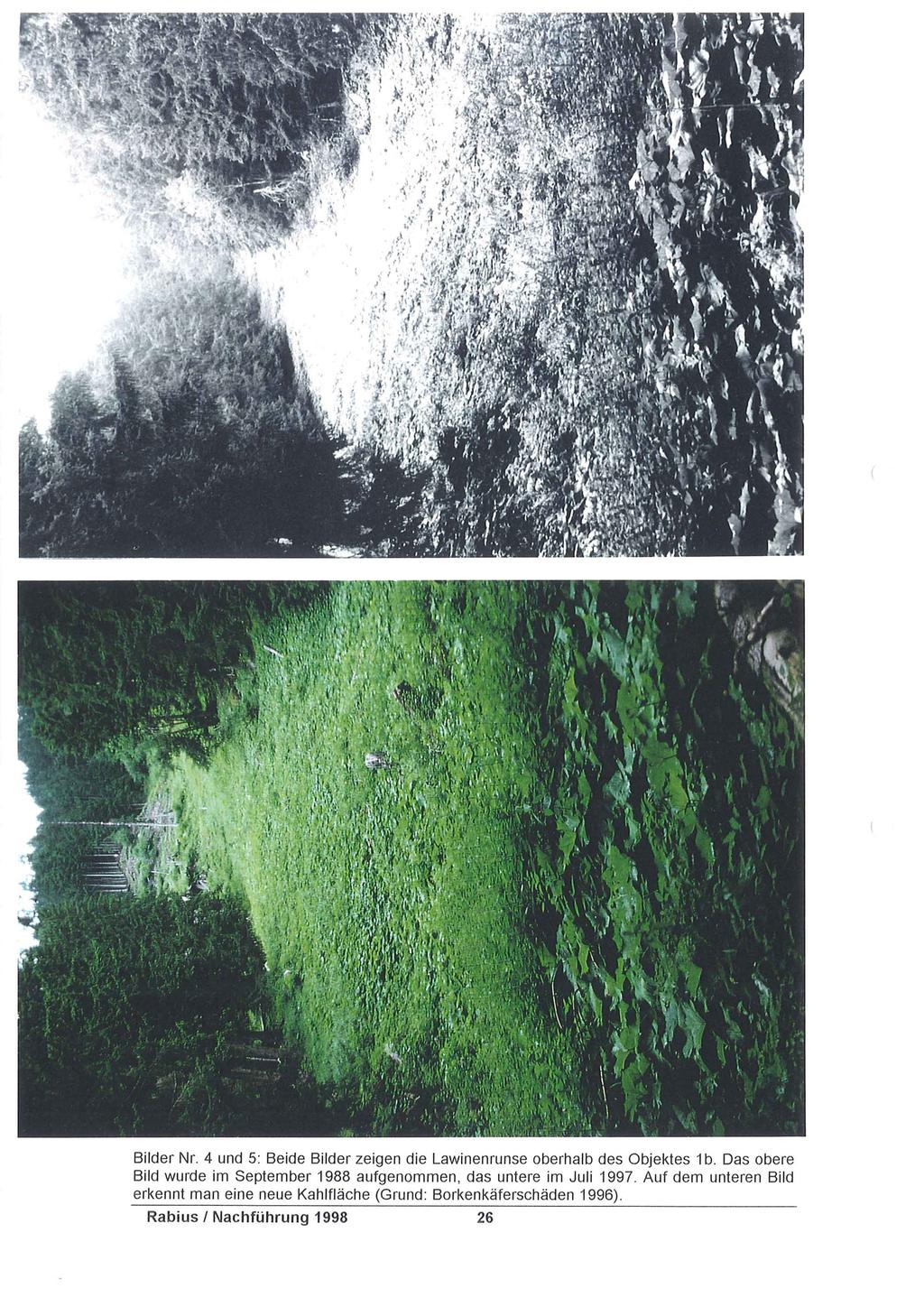 Bilder Nr. 4 und 5: Beide Bilder zeigen die Lawinenrunse oberhalb des Objektes 1 b.