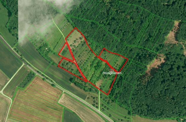 5.4.4 Gottmadingen, Hinterer Berg (KN1) 600 m nordwestlich von Gottmadingen befindet sich an einem steileren Hang ein strukturreiches Streuobstgebiet (siehe Abb. 35).