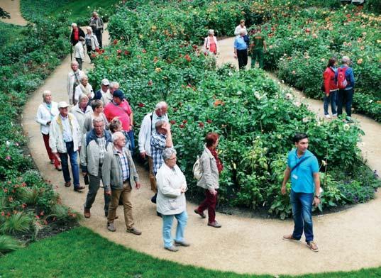 100.000 blühende Pflanzen, mehr als 30 Hallenschauen und 50 Themengärten umfasste das anspruchsvolle Programm der 26. Schulungsfahrt des Stadtverbandes Leipzig der Kleingärtner, die vom 14. bis 18.