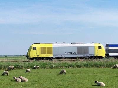 Hier sehen wir eine DE 2000 in der Farbgebung von Siemens-Dispolok. Betreiber des SyltShuttle ist die DB Autozug GmbH mit Sitz in Dortmund.