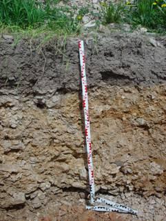 Ertragsfähigkeitsverlust infolge Bodenabtrag durch Wassererosion (Methau, Sächsisches Lösshügelland) Löss 20 cm