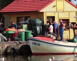 Jedes Jahr im mai werden mit dem eintreffen des Hornfi sches im freester Hafen die Usedomer Hornfi schtage