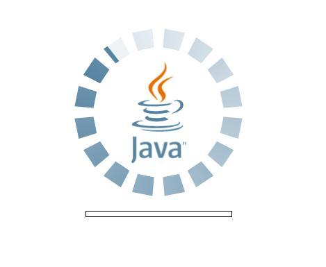 6. Wenn Sicherheitsmeldungen oder Warnungen angezeigt werden, erlauben Sie die Ausführung von Java (Beispiel