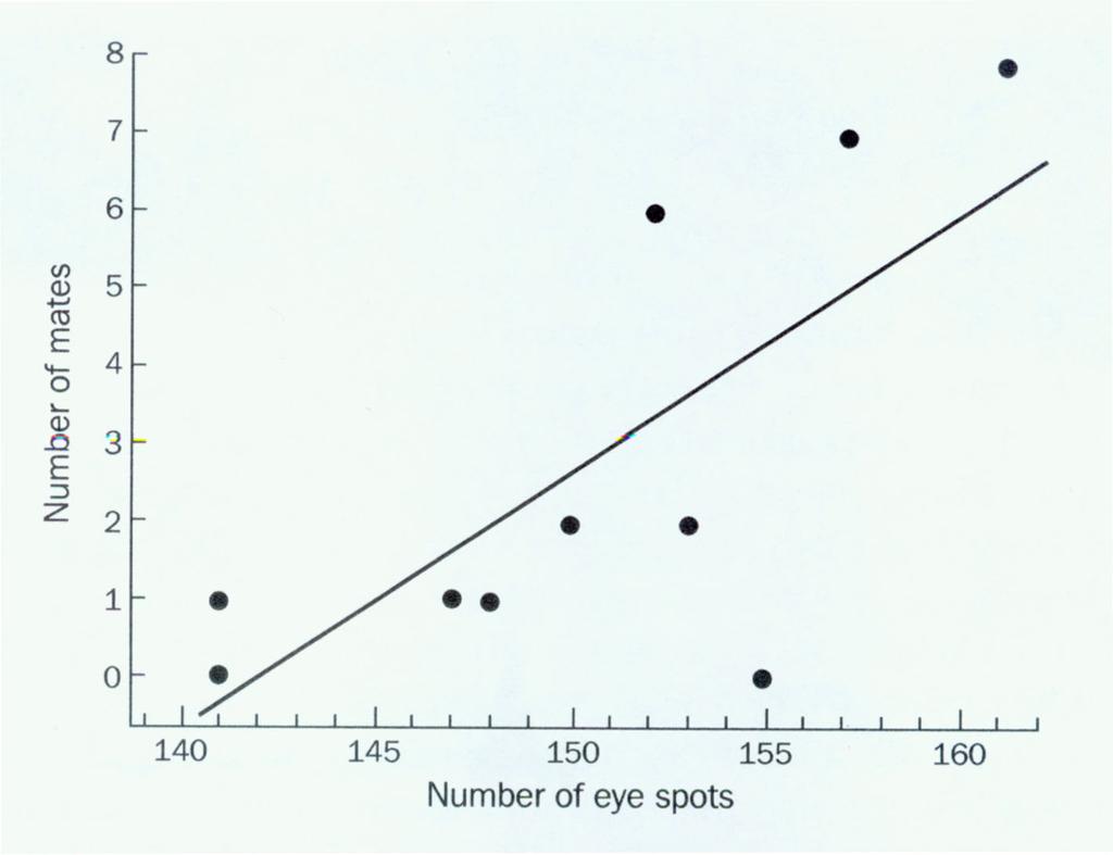 Good-Sense, Good Resources, and Good Behavior Studie 1: Zahl der Augen auf den Federn des männlichen Pfaus und Zahl der