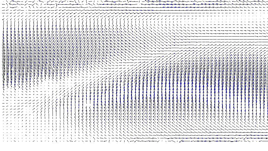 Figure 8: PIV-Vektormap (stationäre 3D-Strömung im parallel symmetrisch angetriebenen Cavity). durchgeführt werden, um z.b. Stromlinien oder eine Darstellung der Vortizität zu erhalten.