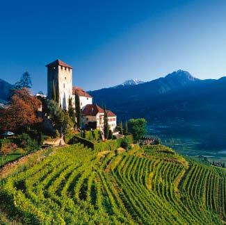 08 09 CH A Weinland Südtirol I Bozen Südtirol Zwischen Bergen und Zypressen Südtirol liegt zwischendrin: Zwischen Österreich und der Schweiz auf italienischem Boden.